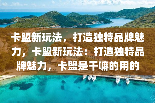 卡盟新玩法，打造独特品牌魅力，卡盟新玩法：打造独特品牌魅力，卡盟是干嘛的用的