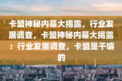卡盟神秘内幕大揭露，行业发展调查，卡盟神秘内幕大揭露：行业发展调查，卡盟是干嘛的