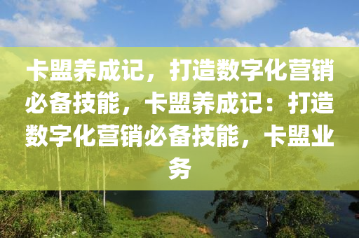 卡盟养成记，打造数字化营销必备技能，卡盟养成记：打造数字化营销必备技能，卡盟业务