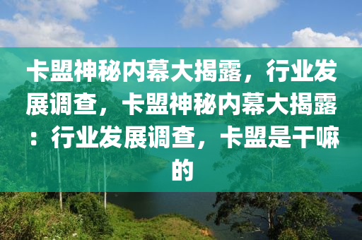 卡盟神秘内幕大揭露，行业发展调查，卡盟神秘内幕大揭露：行业发展调查，卡盟是干嘛的