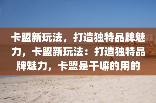 卡盟新玩法，打造独特品牌魅力，卡盟新玩法：打造独特品牌魅力，卡盟是干嘛的用的