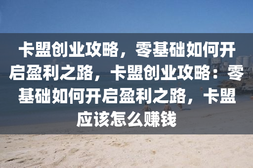 卡盟创业攻略，零基础如何开启盈利之路，卡盟创业攻略：零基础如何开启盈利之路，卡盟应该怎么赚钱