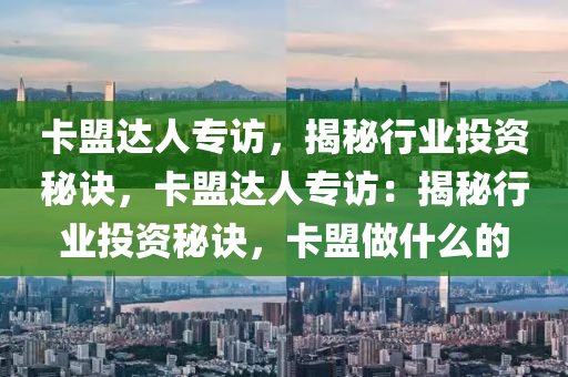 卡盟达人专访，揭秘行业投资秘诀，卡盟达人专访：揭秘行业投资秘诀，卡盟做什么的