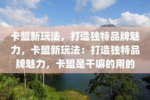 卡盟新玩法，打造独特品牌魅力，卡盟新玩法：打造独特品牌魅力，卡盟是干嘛的用的