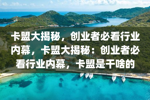 卡盟大揭秘，创业者必看行业内幕，卡盟大揭秘：创业者必看行业内幕，卡盟是干啥的