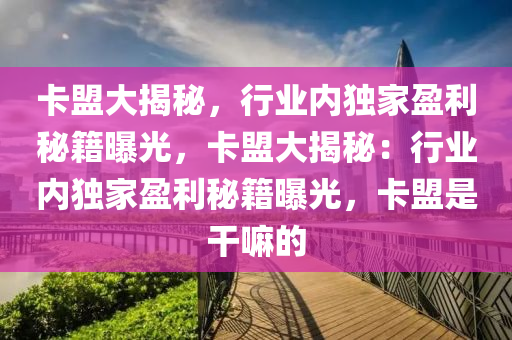 卡盟大揭秘，行业内独家盈利秘籍曝光，卡盟大揭秘：行业内独家盈利秘籍曝光，卡盟是干嘛的