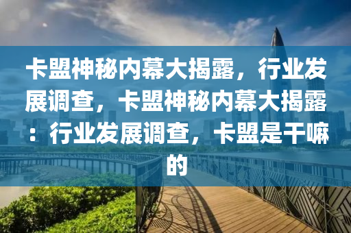 卡盟神秘内幕大揭露，行业发展调查，卡盟神秘内幕大揭露：行业发展调查，卡盟是干嘛的