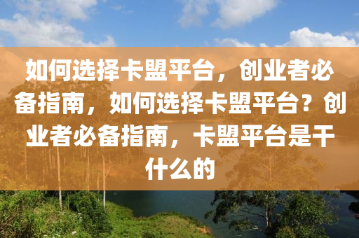 如何选择卡盟平台，创业者必备指南，如何选择卡盟平台？创业者必备指南，卡盟平台是干什么的