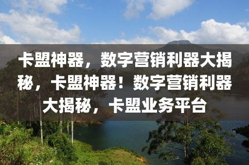卡盟神器，数字营销利器大揭秘，卡盟神器！数字营销利器大揭秘，卡盟业务平台