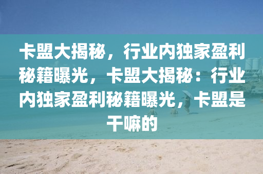 卡盟大揭秘，行业内独家盈利秘籍曝光，卡盟大揭秘：行业内独家盈利秘籍曝光，卡盟是干嘛的