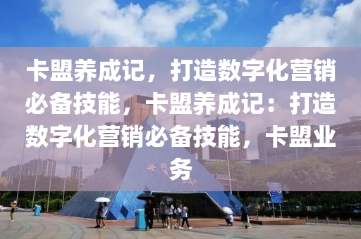 卡盟养成记，打造数字化营销必备技能，卡盟养成记：打造数字化营销必备技能，卡盟业务