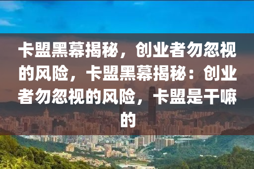 卡盟黑幕揭秘，创业者勿忽视的风险，卡盟黑幕揭秘：创业者勿忽视的风险，卡盟是干嘛的