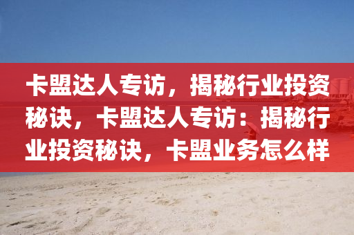 卡盟达人专访，揭秘行业投资秘诀，卡盟达人专访：揭秘行业投资秘诀，卡盟业务怎么样