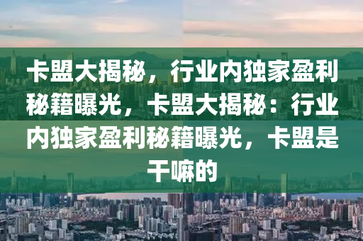 卡盟大揭秘，行业内独家盈利秘籍曝光，卡盟大揭秘：行业内独家盈利秘籍曝光，卡盟是干嘛的