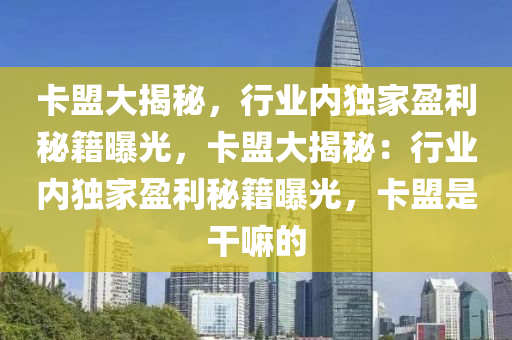 卡盟大揭秘，行业内独家盈利秘籍曝光，卡盟大揭秘：行业内独家盈利秘籍曝光，卡盟是干嘛的