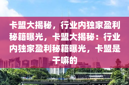 卡盟大揭秘，行业内独家盈利秘籍曝光，卡盟大揭秘：行业内独家盈利秘籍曝光，卡盟是干嘛的
