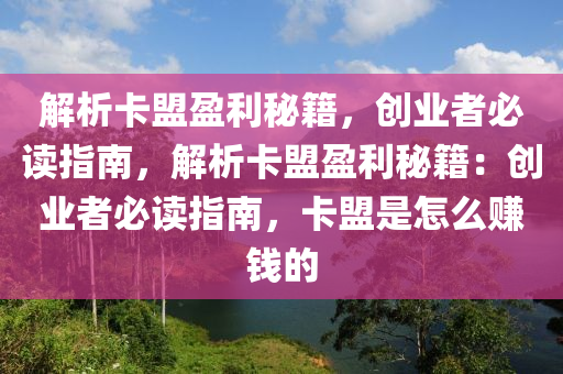 解析卡盟盈利秘籍，创业者必读指南，解析卡盟盈利秘籍：创业者必读指南，卡盟是怎么赚钱的