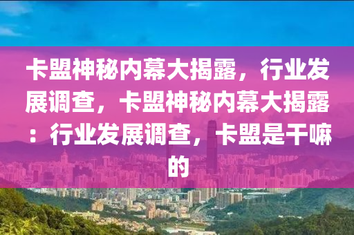 卡盟神秘内幕大揭露，行业发展调查，卡盟神秘内幕大揭露：行业发展调查，卡盟是干嘛的