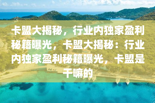卡盟大揭秘，行业内独家盈利秘籍曝光，卡盟大揭秘：行业内独家盈利秘籍曝光，卡盟是干嘛的