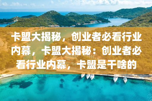 卡盟大揭秘，创业者必看行业内幕，卡盟大揭秘：创业者必看行业内幕，卡盟是干啥的
