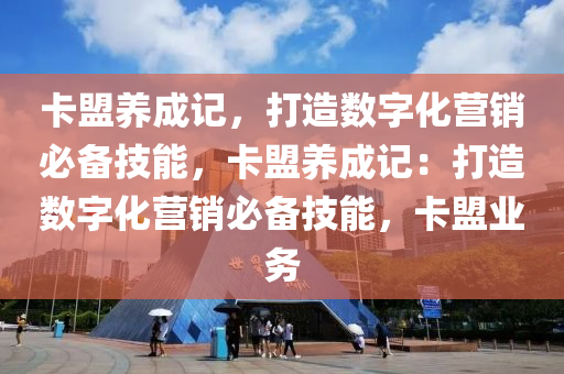 卡盟养成记，打造数字化营销必备技能，卡盟养成记：打造数字化营销必备技能，卡盟业务