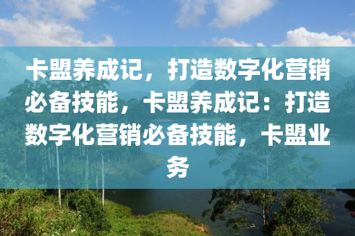 卡盟养成记，打造数字化营销必备技能，卡盟养成记：打造数字化营销必备技能，卡盟业务