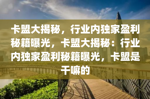 卡盟大揭秘，行业内独家盈利秘籍曝光，卡盟大揭秘：行业内独家盈利秘籍曝光，卡盟是干嘛的