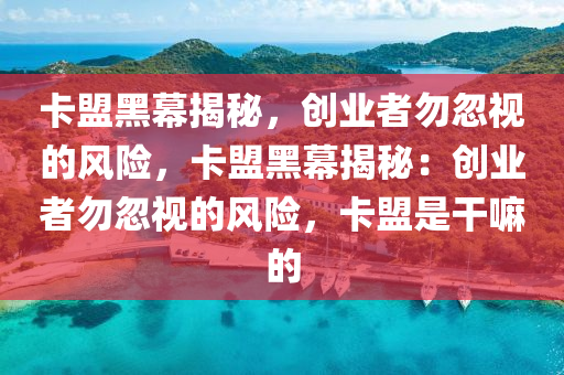 卡盟黑幕揭秘，创业者勿忽视的风险，卡盟黑幕揭秘：创业者勿忽视的风险，卡盟是干嘛的