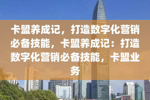 卡盟养成记，打造数字化营销必备技能，卡盟养成记：打造数字化营销必备技能，卡盟业务