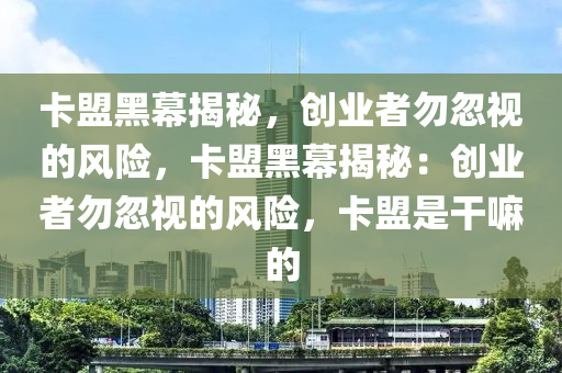 卡盟黑幕揭秘，创业者勿忽视的风险，卡盟黑幕揭秘：创业者勿忽视的风险，卡盟是干嘛的