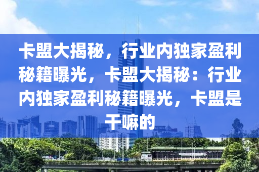卡盟大揭秘，行业内独家盈利秘籍曝光，卡盟大揭秘：行业内独家盈利秘籍曝光，卡盟是干嘛的