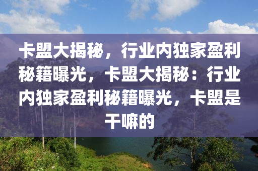 卡盟大揭秘，行业内独家盈利秘籍曝光，卡盟大揭秘：行业内独家盈利秘籍曝光，卡盟是干嘛的