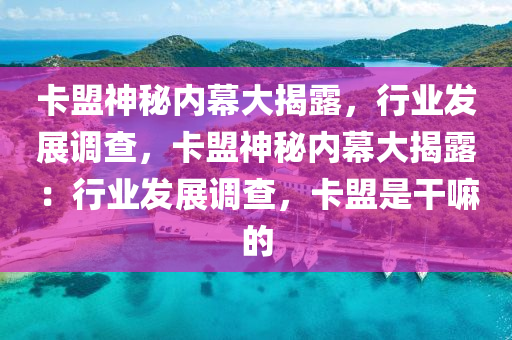 卡盟神秘内幕大揭露，行业发展调查，卡盟神秘内幕大揭露：行业发展调查，卡盟是干嘛的