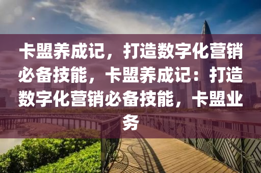 卡盟养成记，打造数字化营销必备技能，卡盟养成记：打造数字化营销必备技能，卡盟业务