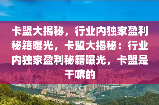 卡盟大揭秘，行业内独家盈利秘籍曝光，卡盟大揭秘：行业内独家盈利秘籍曝光，卡盟是干嘛的
