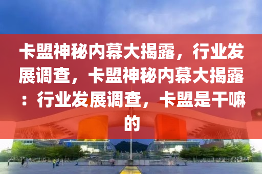 卡盟神秘内幕大揭露，行业发展调查，卡盟神秘内幕大揭露：行业发展调查，卡盟是干嘛的