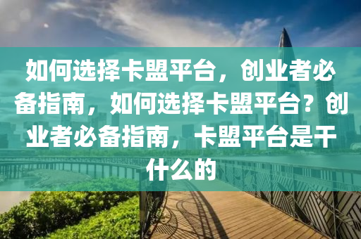 如何选择卡盟平台，创业者必备指南，如何选择卡盟平台？创业者必备指南，卡盟平台是干什么的