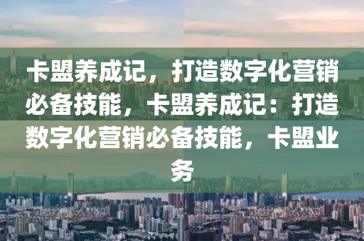 卡盟养成记，打造数字化营销必备技能，卡盟养成记：打造数字化营销必备技能，卡盟业务