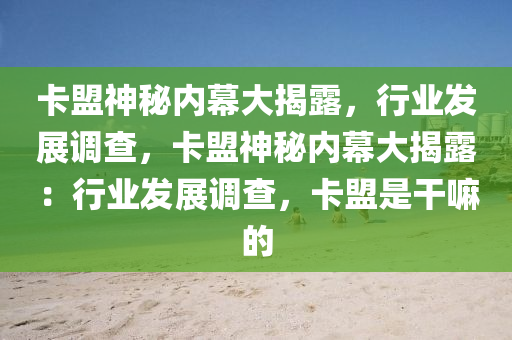 卡盟神秘内幕大揭露，行业发展调查，卡盟神秘内幕大揭露：行业发展调查，卡盟是干嘛的