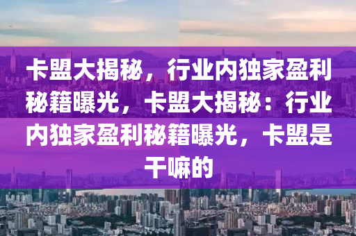 卡盟大揭秘，行业内独家盈利秘籍曝光，卡盟大揭秘：行业内独家盈利秘籍曝光，卡盟是干嘛的