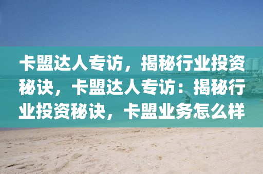 卡盟达人专访，揭秘行业投资秘诀，卡盟达人专访：揭秘行业投资秘诀，卡盟业务怎么样