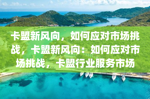 卡盟新风向，如何应对市场挑战，卡盟新风向：如何应对市场挑战，卡盟行业服务市场