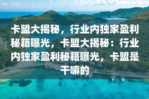 卡盟大揭秘，行业内独家盈利秘籍曝光，卡盟大揭秘：行业内独家盈利秘籍曝光，卡盟是干嘛的