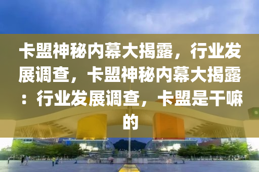 卡盟神秘内幕大揭露，行业发展调查，卡盟神秘内幕大揭露：行业发展调查，卡盟是干嘛的