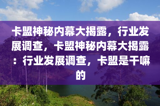 卡盟神秘内幕大揭露，行业发展调查，卡盟神秘内幕大揭露：行业发展调查，卡盟是干嘛的