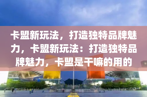 卡盟新玩法，打造独特品牌魅力，卡盟新玩法：打造独特品牌魅力，卡盟是干嘛的用的