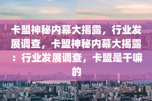 卡盟神秘内幕大揭露，行业发展调查，卡盟神秘内幕大揭露：行业发展调查，卡盟是干嘛的