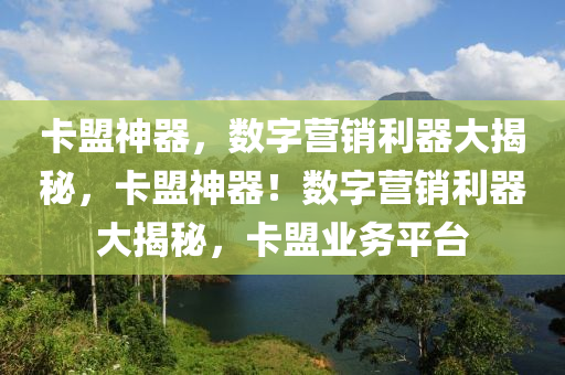 卡盟神器，数字营销利器大揭秘，卡盟神器！数字营销利器大揭秘，卡盟业务平台