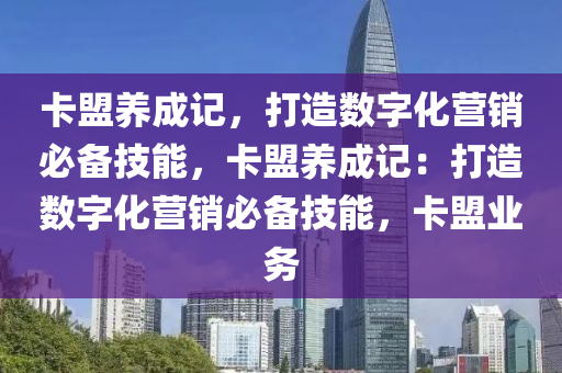 卡盟养成记，打造数字化营销必备技能，卡盟养成记：打造数字化营销必备技能，卡盟业务