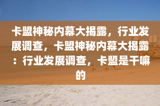 卡盟神秘内幕大揭露，行业发展调查，卡盟神秘内幕大揭露：行业发展调查，卡盟是干嘛的